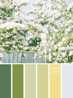 the color scheme is green, yellow and white with lots of flowers in blooming trees