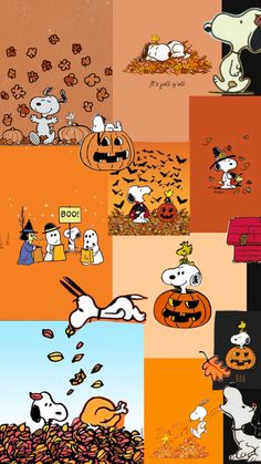 the peanuts gang halloween wallpapers are all in different colors and sizes, including snoop's pumpkin patch