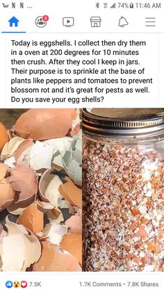 a jar filled with lots of dirt next to a pile of eggs