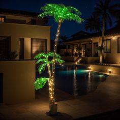 a palm tree is lit up in front of a pool