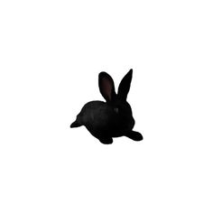 a black rabbit is flying through the air with it's ears up and eyes wide open