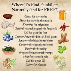 Herbalist Garden, Herbal Remedies Recipes, Medical Herbs, Magic Herbs, Herbal Apothecary, Natural Healing Remedies, Herbal Healing, Deep Roots, Home Health Remedies