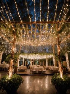 an outdoor wedding venue with lights and greenery on the ceiling, surrounded by potted plants