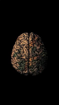 the left and right halves of a human brain are shown against a black background,