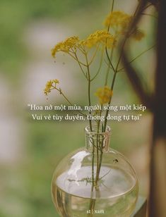 a vase filled with yellow flowers sitting on top of a table