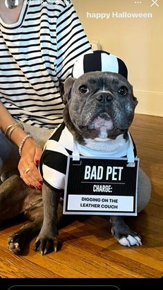 a dog dressed up as a jail inmate for halloween is sitting on the floor with a sign that says, happy halloween