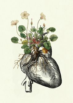 a drawing of a human heart with flowers growing out of it