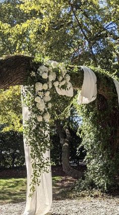 an outdoor wedding ceremony setup with white flowers and greenery on the arbor, in front of a large tree