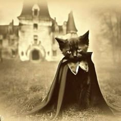 a cat dressed up as a dracula in front of a castle with a cape on