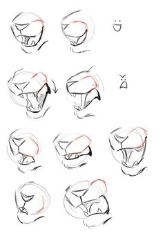 the steps to draw an animal's head with different angles and shapes on it