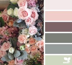 a bunch of flowers that are sitting on top of a table with color swatches