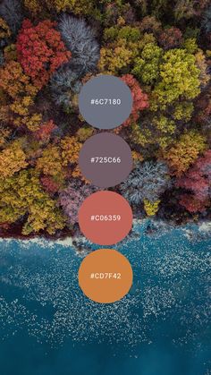 an aerial view of trees with different colors