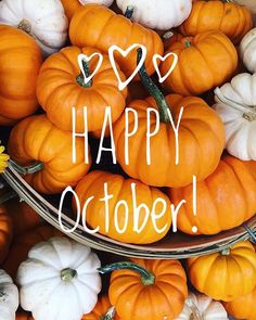 there are many small pumpkins in the basket with happy october written on one side