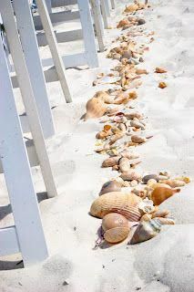 several seashells are lined up along the beach fence line, with white chairs in the background