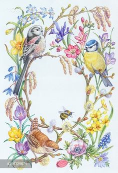 a watercolor painting of birds and flowers on a white background with the letter o in the center