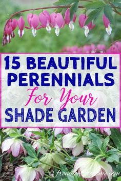 Ground Cover Plants For Shade (Perennials That Keep Weeds Down) | Perennial Garden Shade Gardening