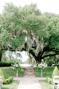 an outdoor ceremony setup with white chairs and flowers on the steps under a large tree