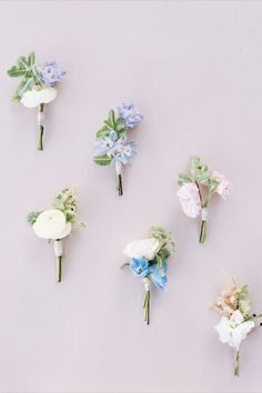 six different types of flowers are arranged on a white surface, one is blue and the other is pink