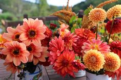 several vases filled with different colored flowers on a table