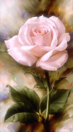 a pink rose is shown in this artistic photograph