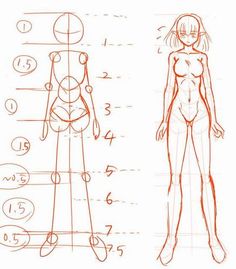 a drawing of a woman's body and measurements