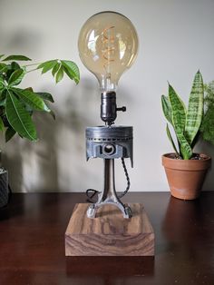 a light bulb sitting on top of a wooden table next to a potted plant