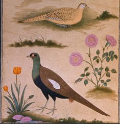 two birds are standing in the grass and flowers