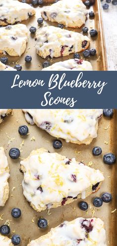 Lemon blueberry scones on an aluminum baking sheet. Glazed Lemon Blueberry Scones, Buttery Blueberry Scones With Lemon Glaze, Lemon Blueberry Drop Scones, Lemon Berry Scones, Lemon And Blueberry Recipes, Lemons And Blueberries, Gluten Free Lemon Blueberry Scones, Blueberries Scones Recipe, Things To Bake With Blueberries