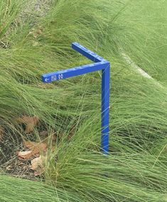 a blue metal pole in the middle of some grass