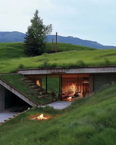 a green roof on top of a house with stairs leading up to the upper floor