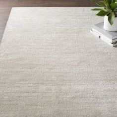 a white rug on the floor with a potted plant next to it and books