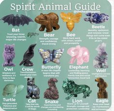 Mars Crystals, Ancestral Spirituality, Spirit Animal Meaning, Animal Meanings, Fierce Tiger, Animal Communication, Lion Cat, Spiritual Animal, Animal Spirit Guides