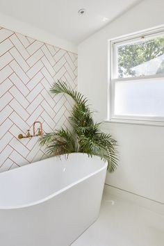 a white bath tub sitting under a window next to a potted plant in a bathroom