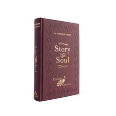 a red book with the title story soul written on it