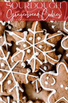 gingerbread cookies with white icing are on a red and white tablecloth that says sourdough gingerbread cookies