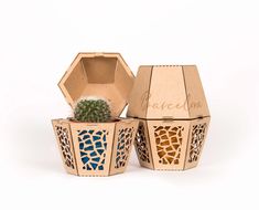 three cardboard boxes with designs and a cactus in them