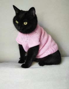 a black cat wearing a pink sweater