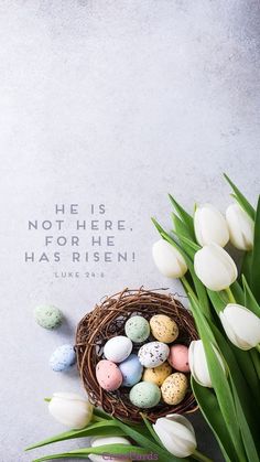 easter eggs and tulips in a nest with a bible verse on the side