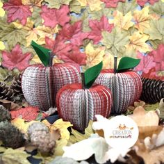 two red apples sitting on top of leaves next to pine cones and acorns