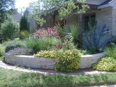 a garden is shown in front of a house