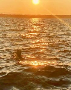 a person swimming in the ocean at sunset