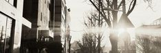 black and white photograph of the sun shining through trees in front of buildings on a city street