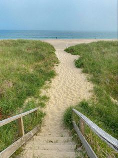 a sandy path leading to the beach with grass growing on both sides and an ocean in the background