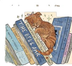 an orange cat sitting on top of a stack of books with the caption, the real book