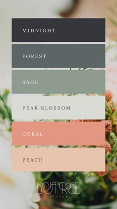 Alt Text: A moodboard featuring a harmonious sage and coral color palette. The palette includes midnight green, dark forest green, sage, pale green, coral, and peach. These colors are arranged in a stylish and visually appealing layout, perfect for small business branding or luxury weddings. The combination of deep and soft hues creates a balanced and elegant aesthetic. The moodboard showcases color swatches and design elements that highlight the versatility and beauty of this palette. Color Palette 2025, Sage Colour Palette, Coral Color Combinations, Intuitive Coaching, Colour Palette Wedding, Coral Color Palette, Bedroom 2025, Peach Color Schemes, Sage Color Palette