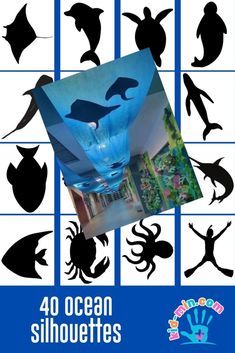 the silhouettes of various sea creatures are shown in blue and white squares with black text