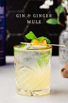 the gin and ginger mule is served in a glass with a straw garnish