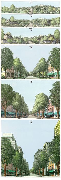 four different views of trees and buildings in the same area, each with their own street name