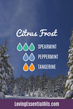 Citrus Frost Diffuser - Spearmint and Peppermint Oil Blend with Tangerine Essential Oil Essential Oils Properties, Mint Essential Oil, Soothe Sunburn, Calm Kids, Essential Oils Collection