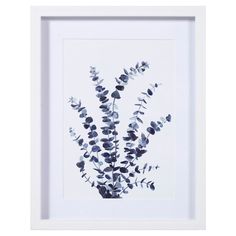 an image of a plant in a white frame